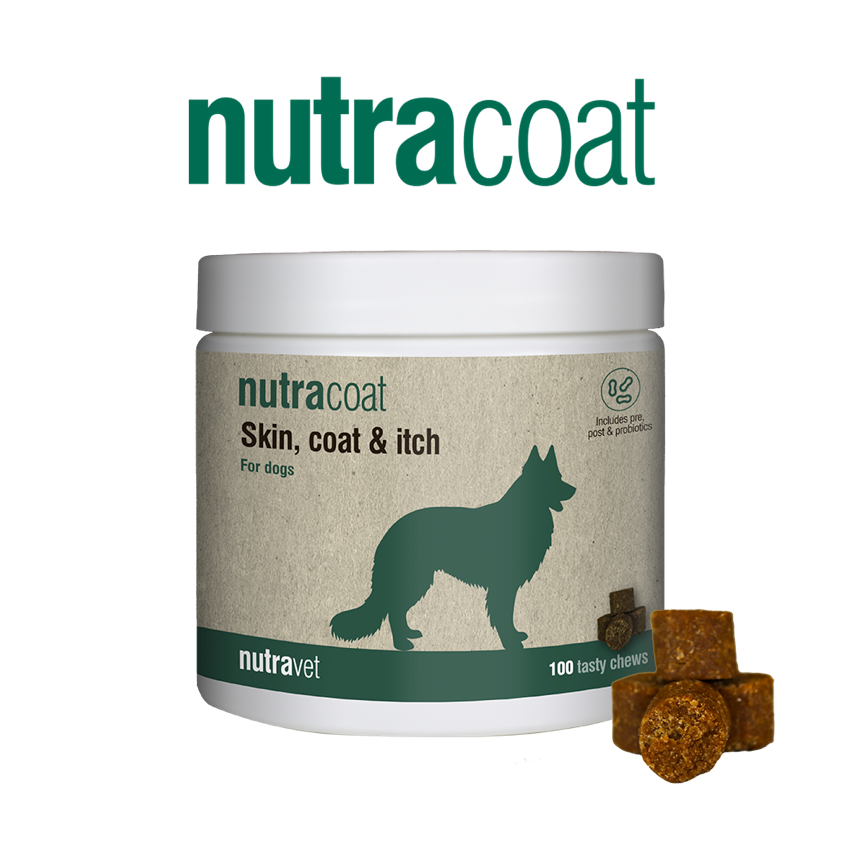 Nutracoat chews