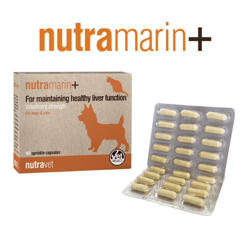 Nutramarin + Capsules