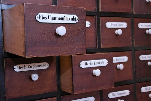 Herbal and Homeopathic Vet in North Wales & NW England