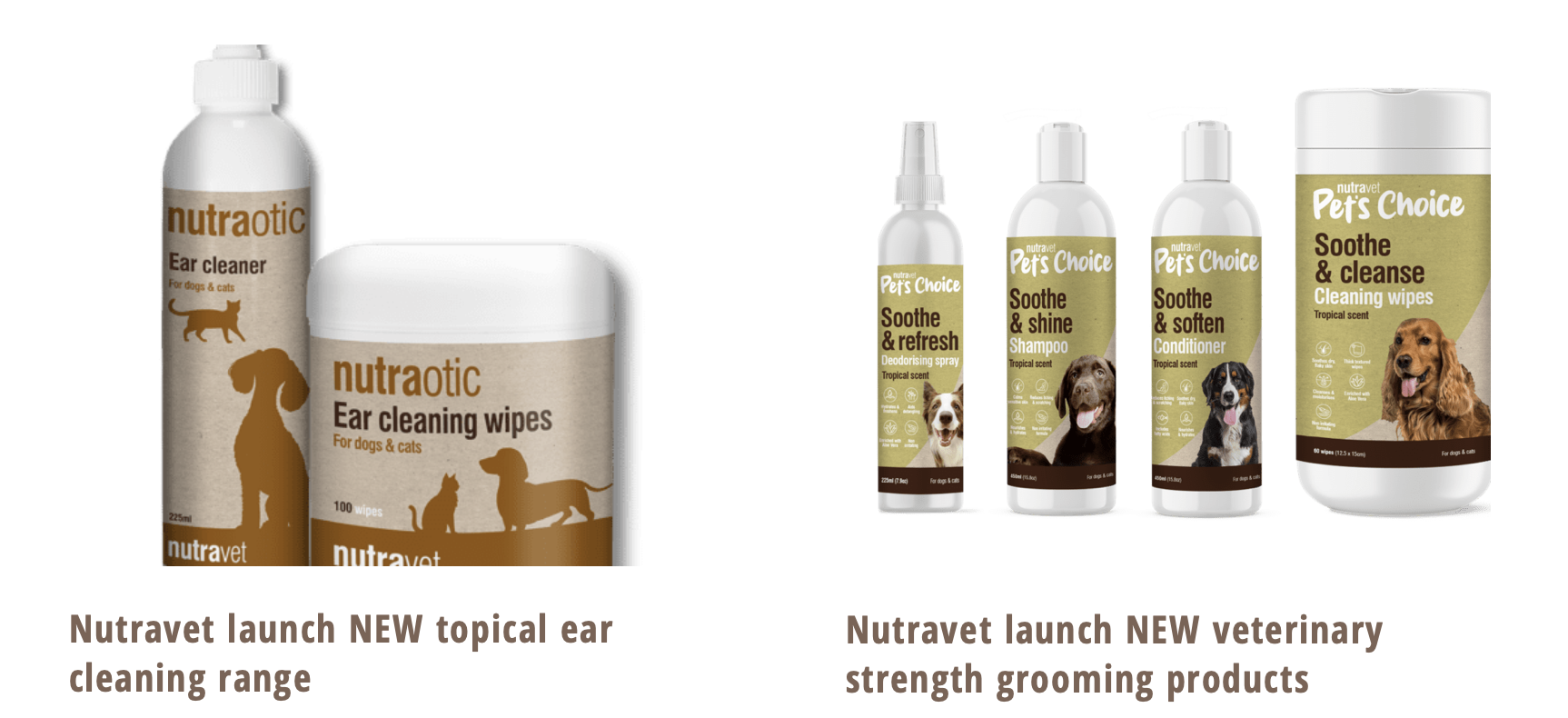 Natural Pet Care shop & Veterinart Surgeon