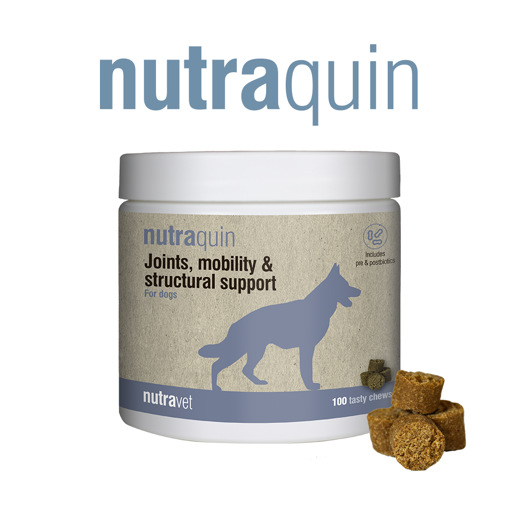 Nutracoat chews