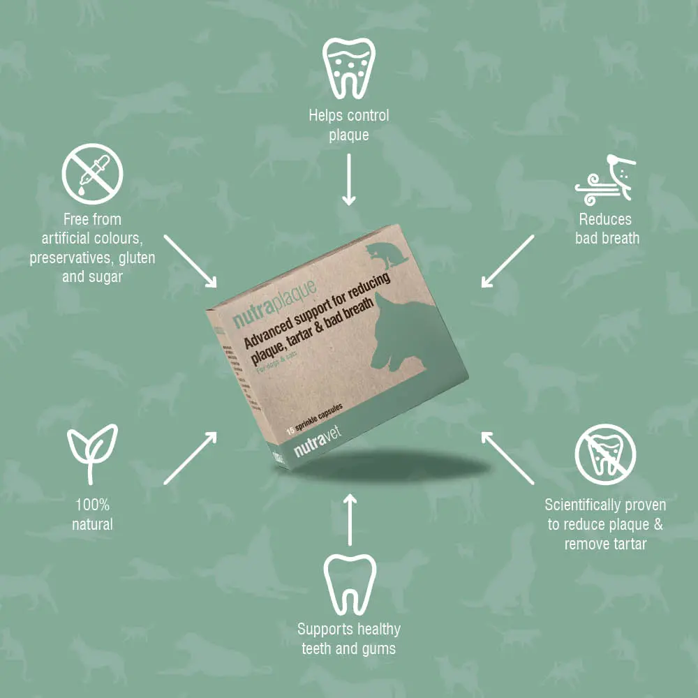 Nutraplaque capsules